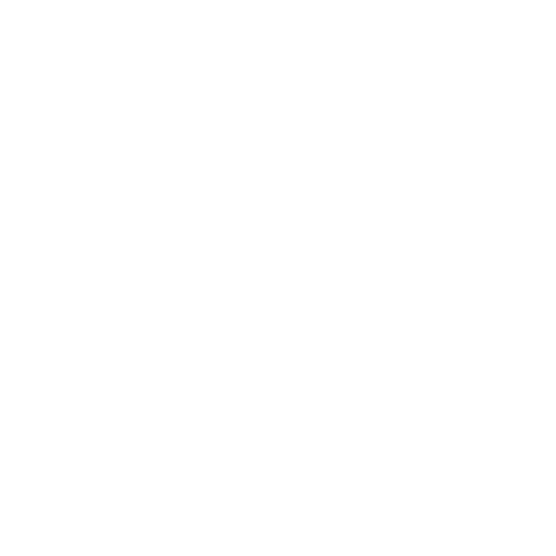 Hotels/Guest Houses